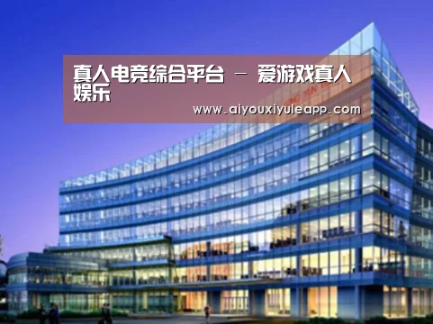 爱游戏娱乐案例展示三