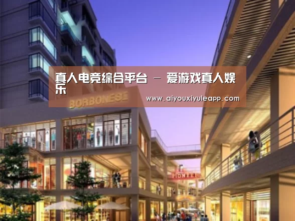 爱游戏娱乐案例展示一