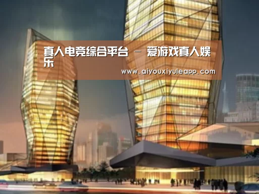 爱游戏娱乐案例展示二
