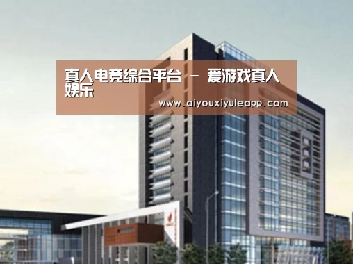 爱游戏娱乐案例展示四