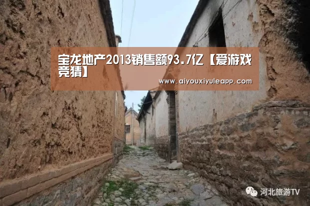 宝龙地产2013销售额93.7亿【爱游戏竞猜】(图2) 爱游戏下载