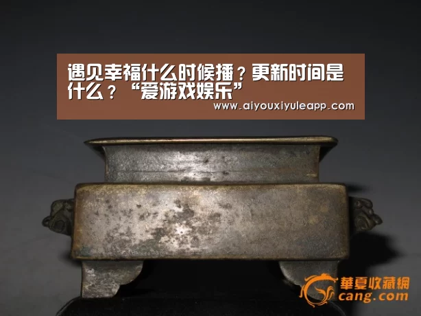 遇见幸福什么时候播?更新时间是什么?“爱游戏娱乐”(图3) 爱游戏娱乐