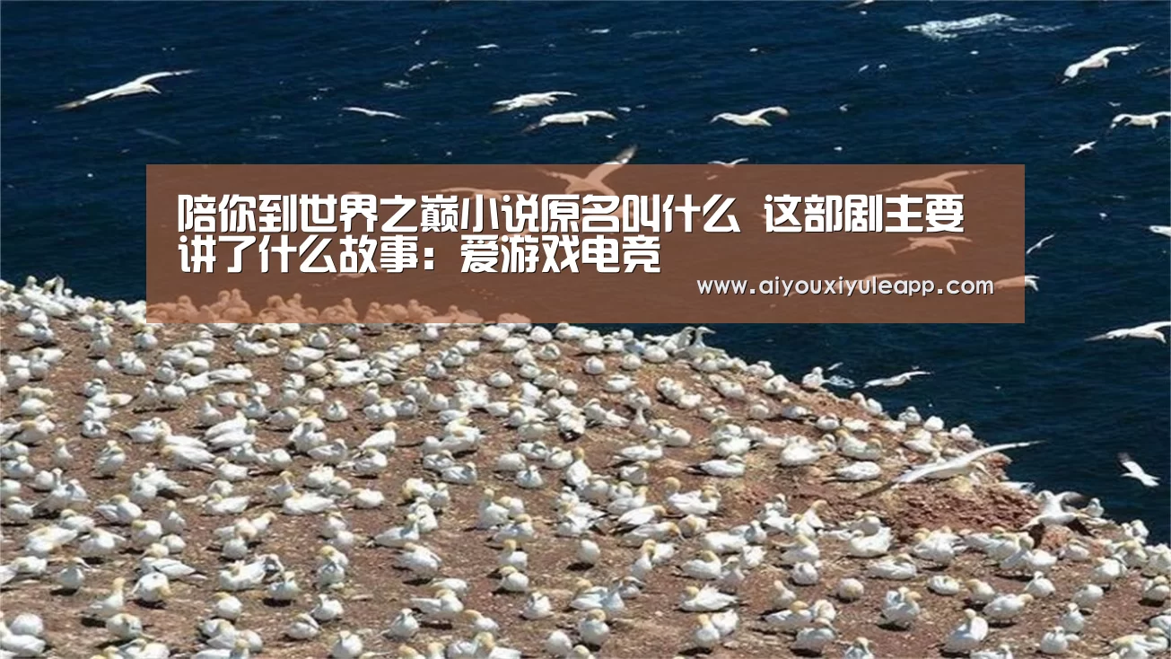 陪你到世界之巅小说原名叫什么 这部剧主要讲了什么故事:爱游戏电竞(图3) 爱游戏娱乐