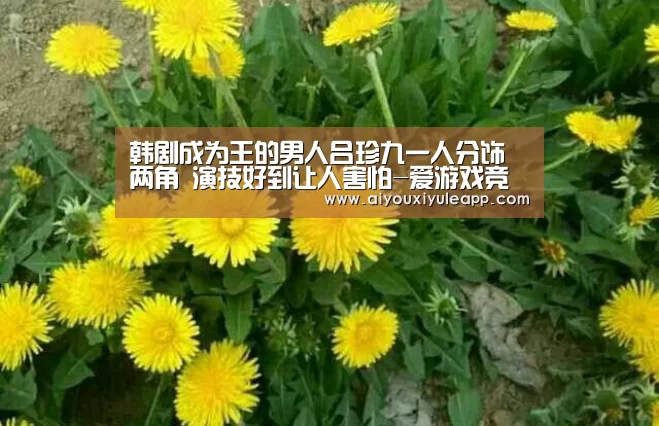 韩剧成为王的男人吕珍九一人分饰两角 演技好到让人害怕-爱游戏竞猜(图1) 爱游戏竞猜