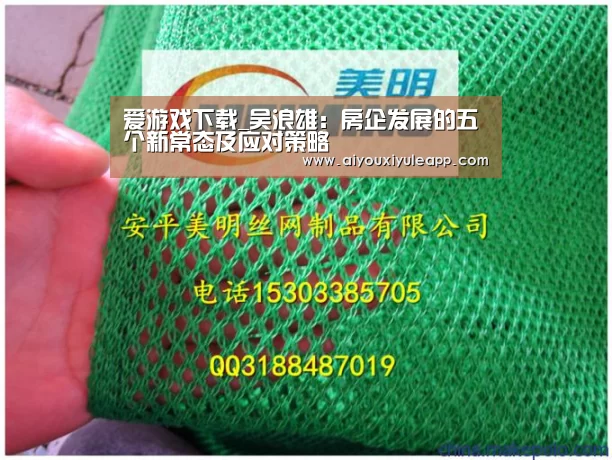 爱游戏下载_吴浪雄:房企发展的五个新常态及应对策略(图2) 爱游戏竞猜
