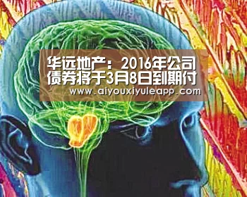 华远地产:2016年公司债券将于3月8日到期付息 并摘牌‘爱游戏竞猜’(图3) 爱游戏下载